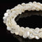 Iridescent White Mother of Pearl MOP Shell Coin Beads 6mm 8mm 10mm 15.5'' Strand