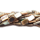 Abalone Flat Rectangle Shape Beads 10x15mm 15.5" Strand