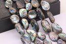 abalone irregular rectangle shape beads